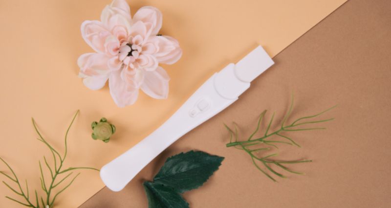 Máster en Avances en Reproducción Asistida