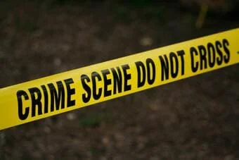 Curso de psiquiatría forense