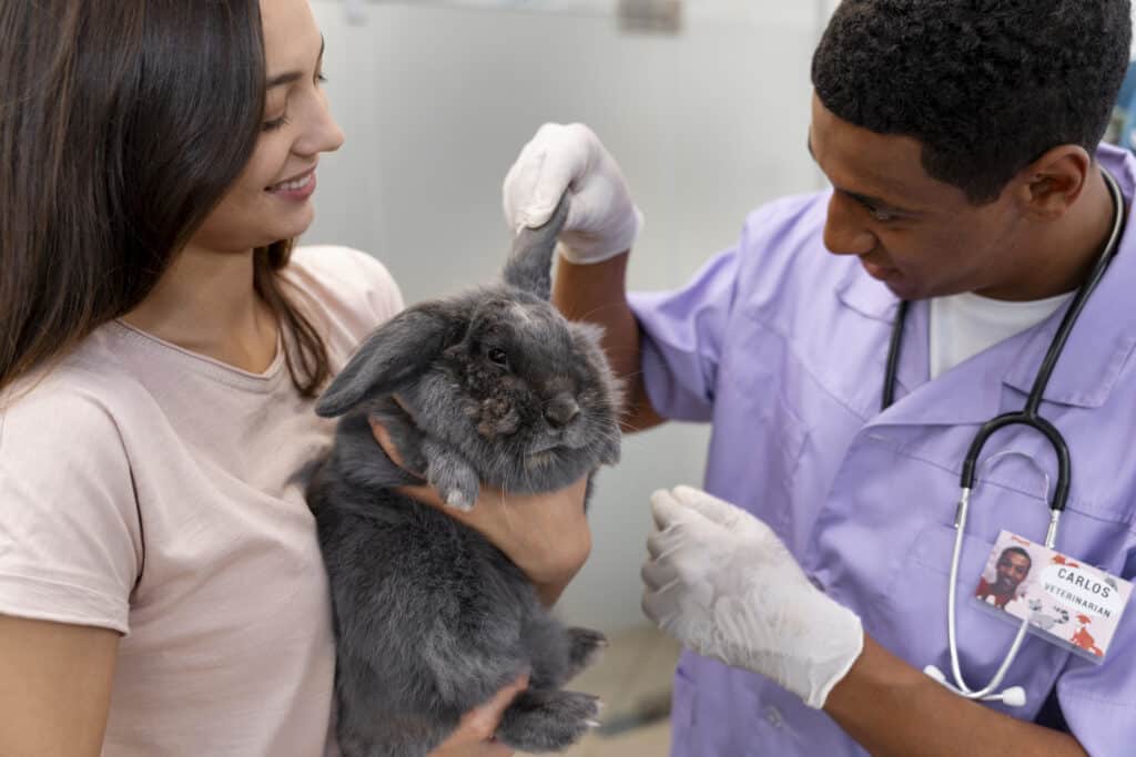 Diplomado en Dermatología Clínica y Otología en Pequeños Animales