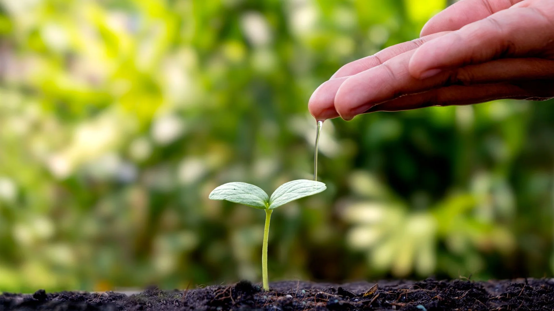 Curso Medio Ambiente 1