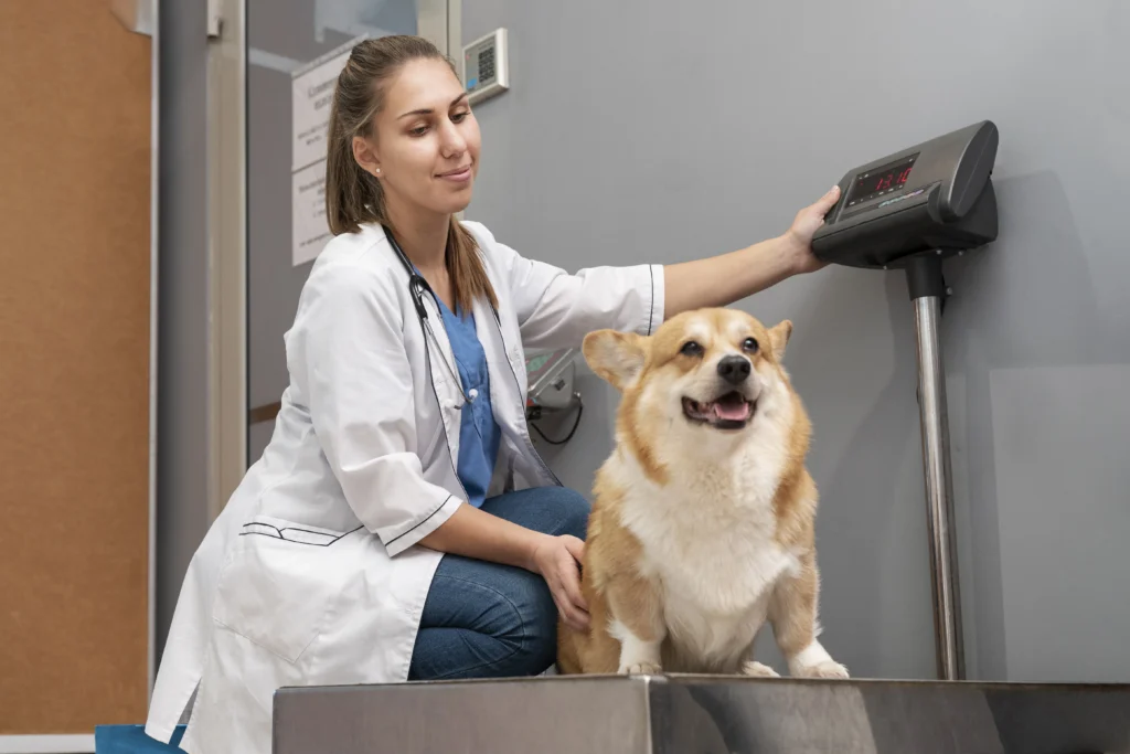 Diplomado en Imagenología Veterinaria Práctica y Teleradiología