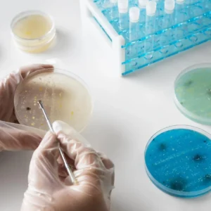Curso de Análisis e Identificación de Microplásticos en Laboratorio 1