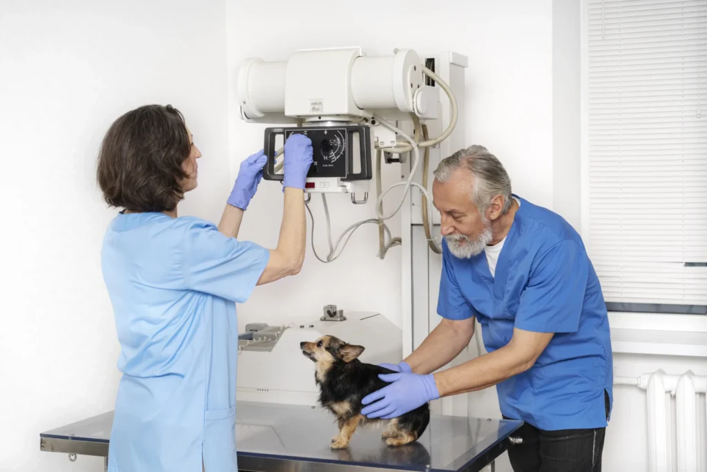 Diplomado en Imagenología Veterinaria Práctica y Teleradiología 2
