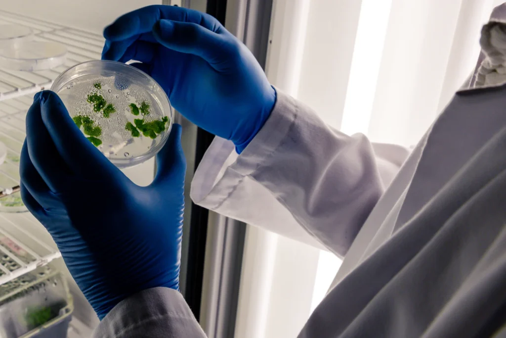 Diplomado en Muestreo y Análisis de Microplásticos Ambientales 2
