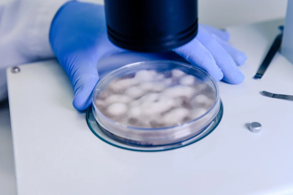 Diplomado en Tecnologías de Mitigación y Tratamiento de Microplásticos