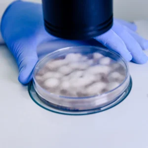 Diplomado en Tecnologías de Mitigación y Tratamiento de Microplásticos