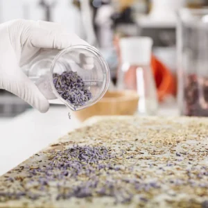 Maestría en Ingeniería de Tratamiento y Remediación de Microplásticos