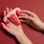 Anatomía y Fisiología del Aparato Reproductor Femenino