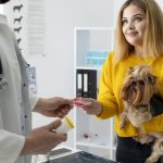 Curso sobre Programas de Adelgazamiento Basados en Evidencia (Perros y Gatos)