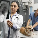 Diplomado en Imagenología Veterinaria Práctica y Teleradiología
