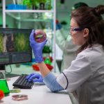 Diplomado en Nutrición Aplicada y Control Metabólico en Pequeños Animales