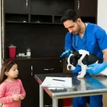 Maestria-Profesional-en-Urgencias-y-Cuidados-Intensivos-de-Pequenos-Animales-ECCUCI-1 (1)
