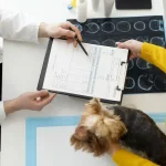 Maestría en Diagnóstico por Imagen en Pequeños Animales 1