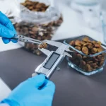 Maestría en Nutrición Clínica y Gestión de Peso en Pequeños Animales 1
