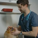 Nutricion-Clinica-y-Gestion-de-Peso-en-Pequenos-Animales-1